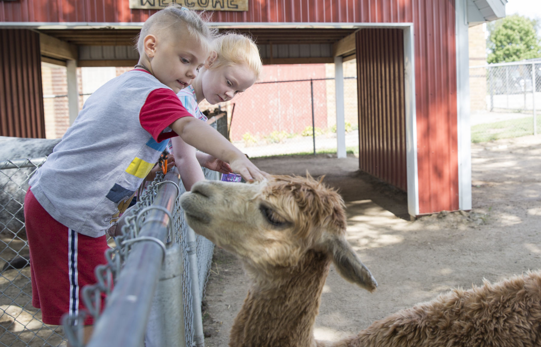 082419kw-petting-zoo-03